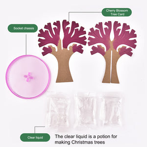Magic Growing Cherry Tree DIY