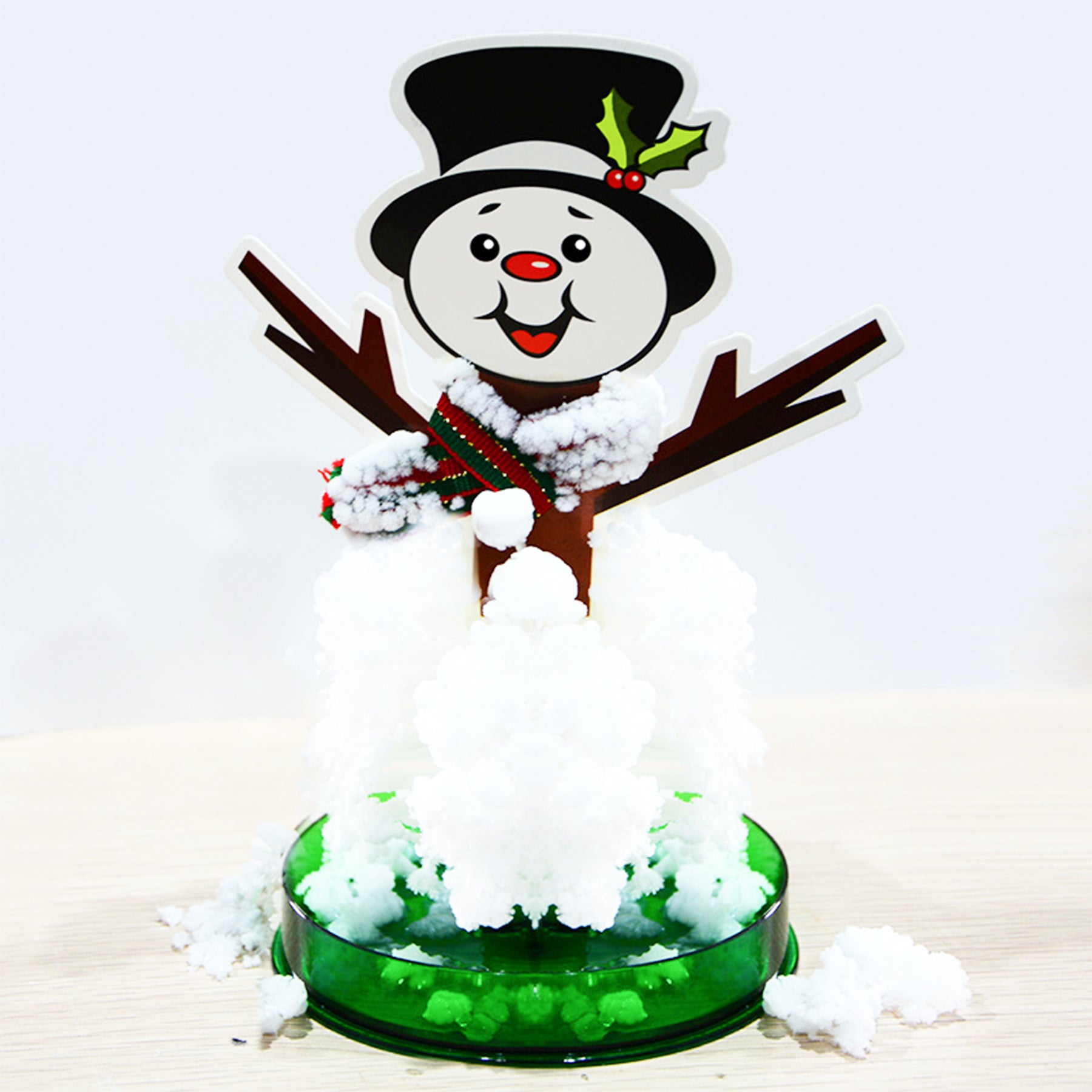 Magic Growing Snowman DIY